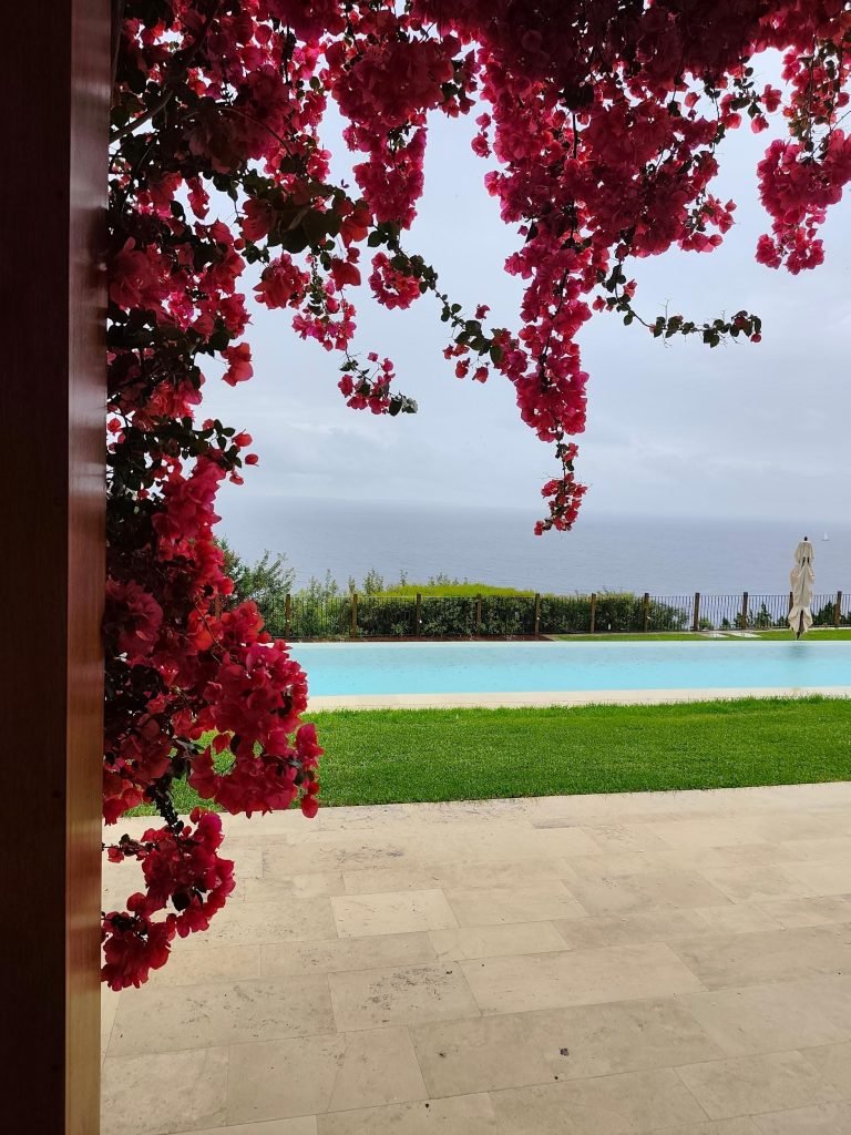 Piscina frente al mar enmarcada por una buganvilla en flor, con el césped y el porche en primer plano